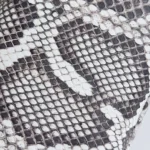 Bottega Veneta (BV) Knot