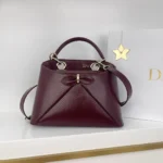 The Dior Cigale Bag
